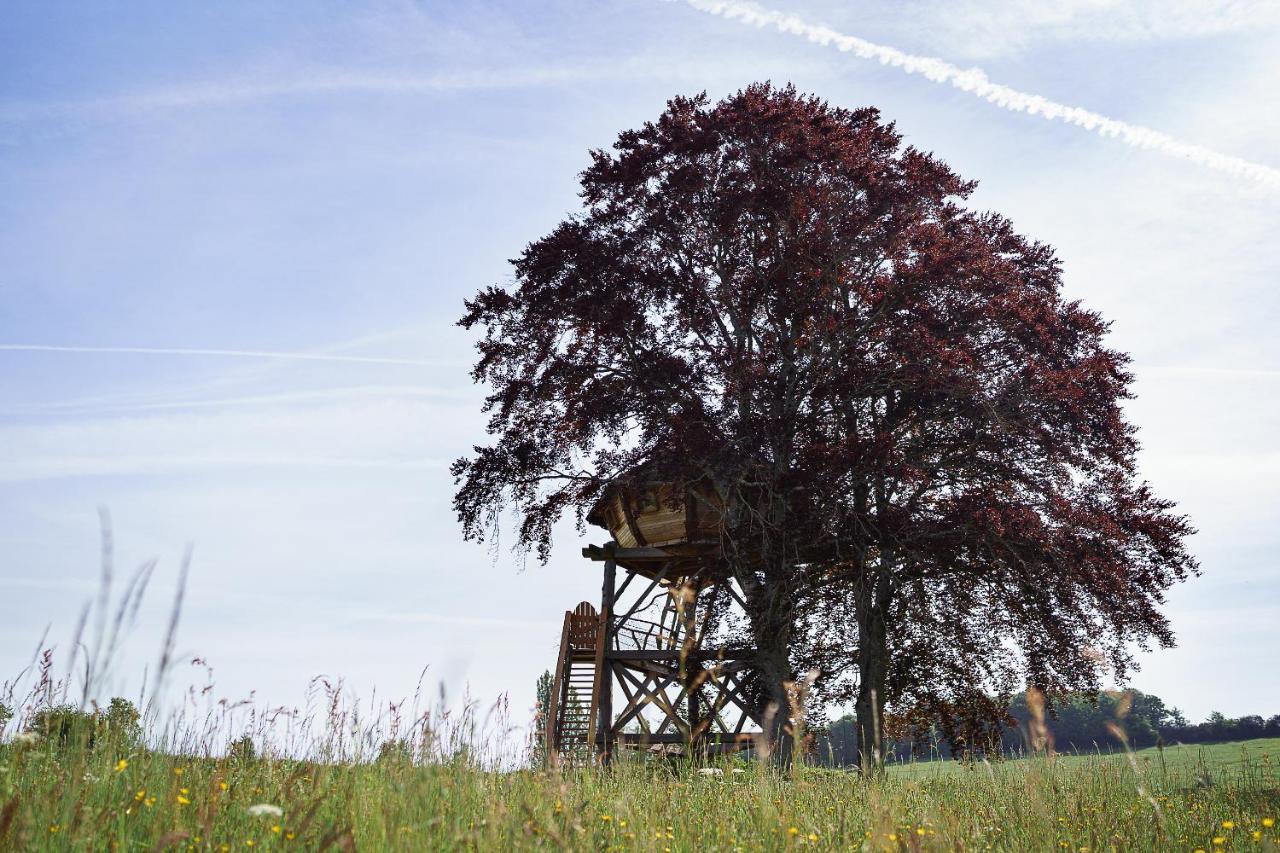 Cabane Perchee Dans Les Arbres Saint-Hilaire-en-Morvan Bagian luar foto