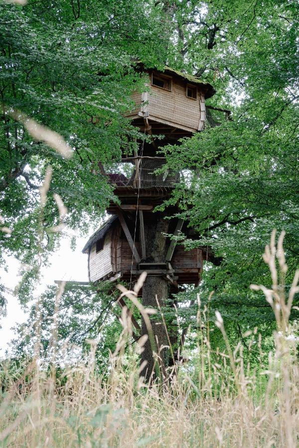 Cabane Perchee Dans Les Arbres Saint-Hilaire-en-Morvan Bagian luar foto