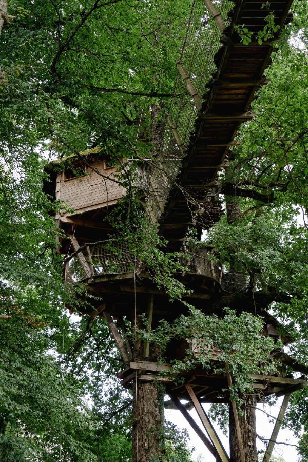 Cabane Perchee Dans Les Arbres Saint-Hilaire-en-Morvan Bagian luar foto