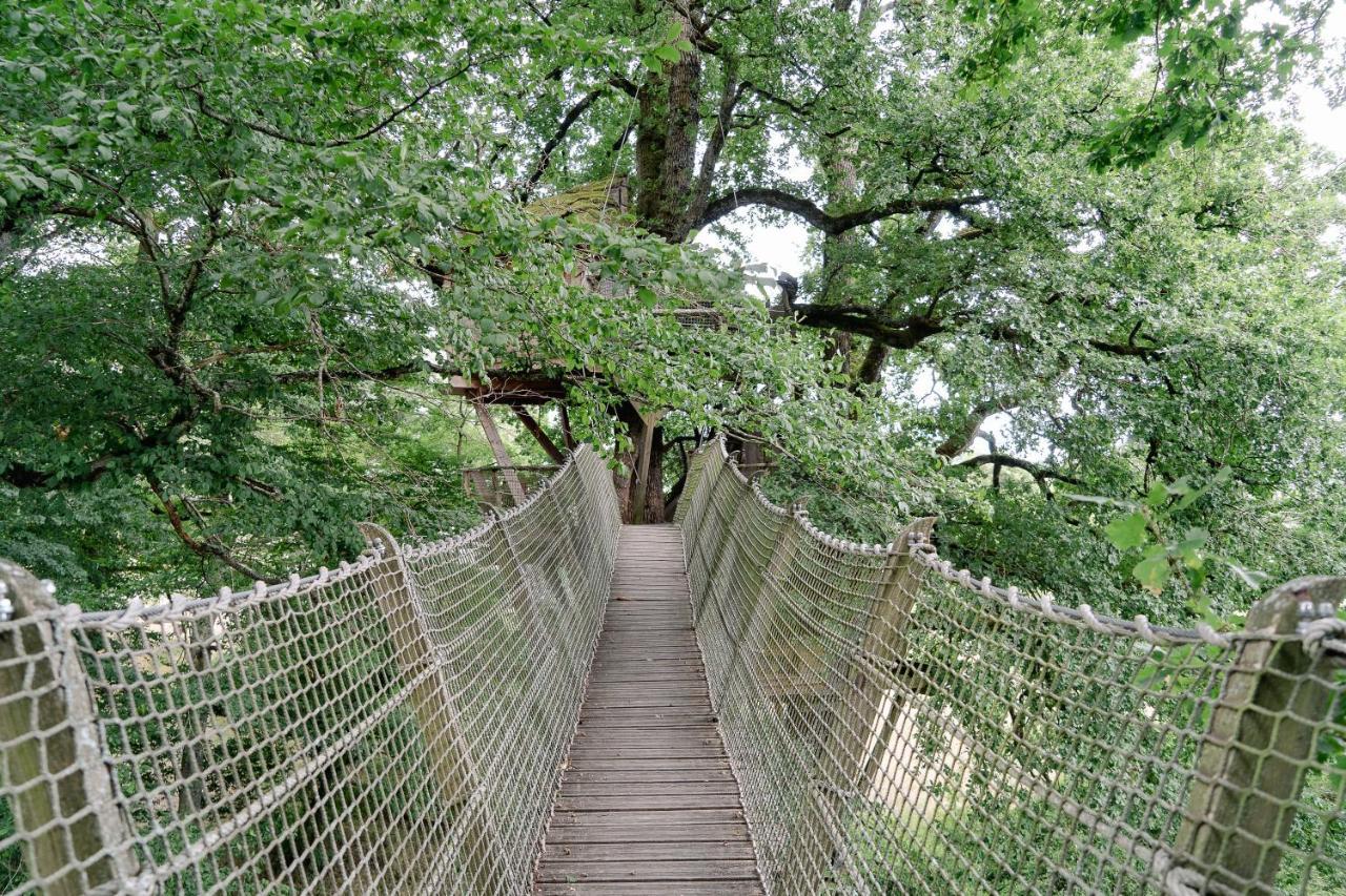 Cabane Perchee Dans Les Arbres Saint-Hilaire-en-Morvan Bagian luar foto