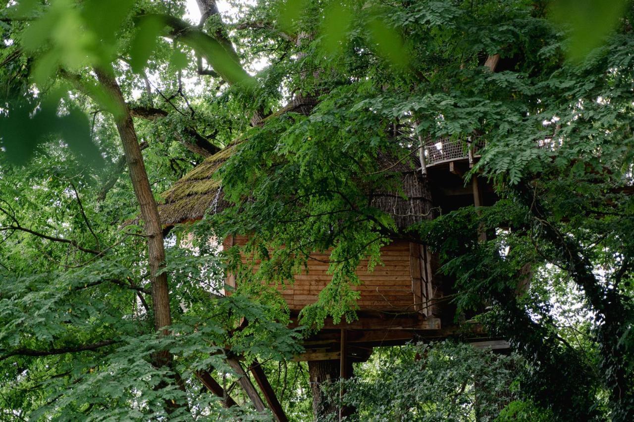 Cabane Perchee Dans Les Arbres Saint-Hilaire-en-Morvan Bagian luar foto