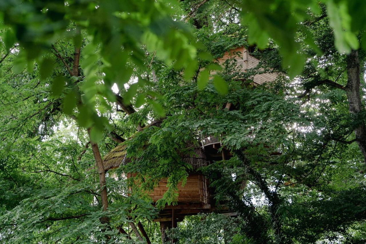 Cabane Perchee Dans Les Arbres Saint-Hilaire-en-Morvan Bagian luar foto